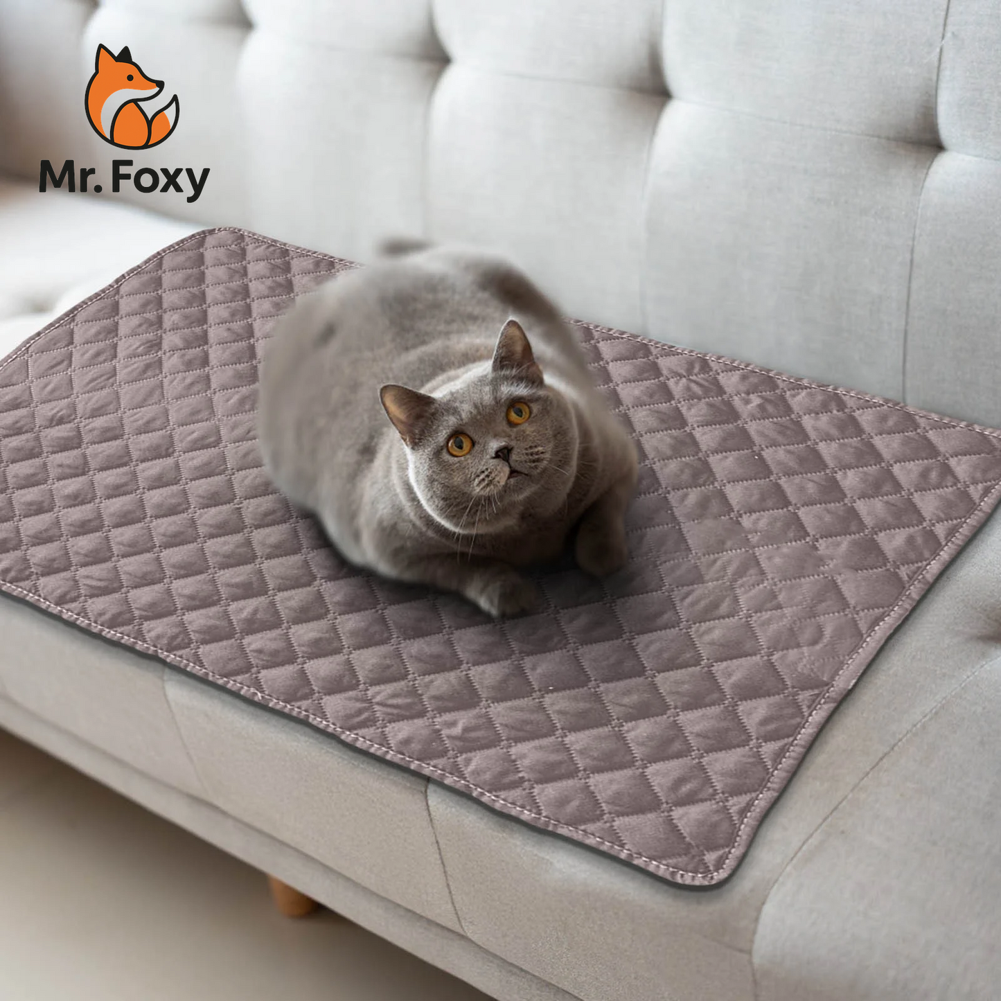 BreezePaw™ Pet Mat – Breathable Summer Comfort Pad