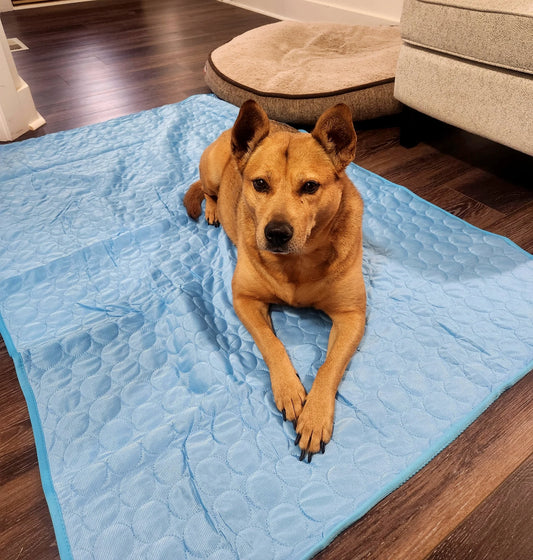 BreezePaw™ Pet Mat – Breathable Summer Comfort Pad