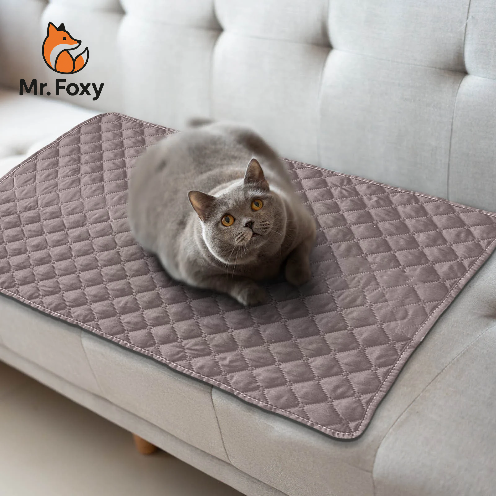 BreezePaw™ Pet Mat – Breathable Summer Comfort Pad