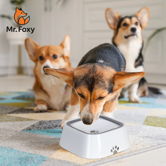 Smart Anti-Spill Water Bowl for Pets – 1 & 1.5L Slow Drinking Feeder